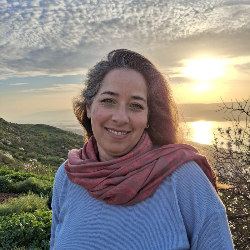 ורד קטש חונטוס